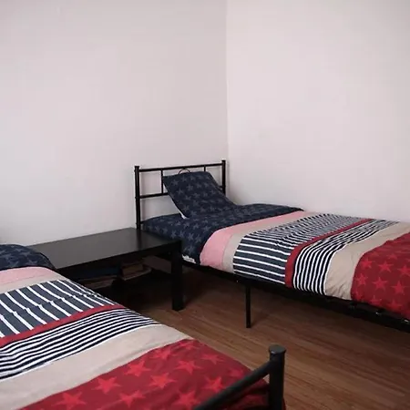 Vernier Low Cost Nice